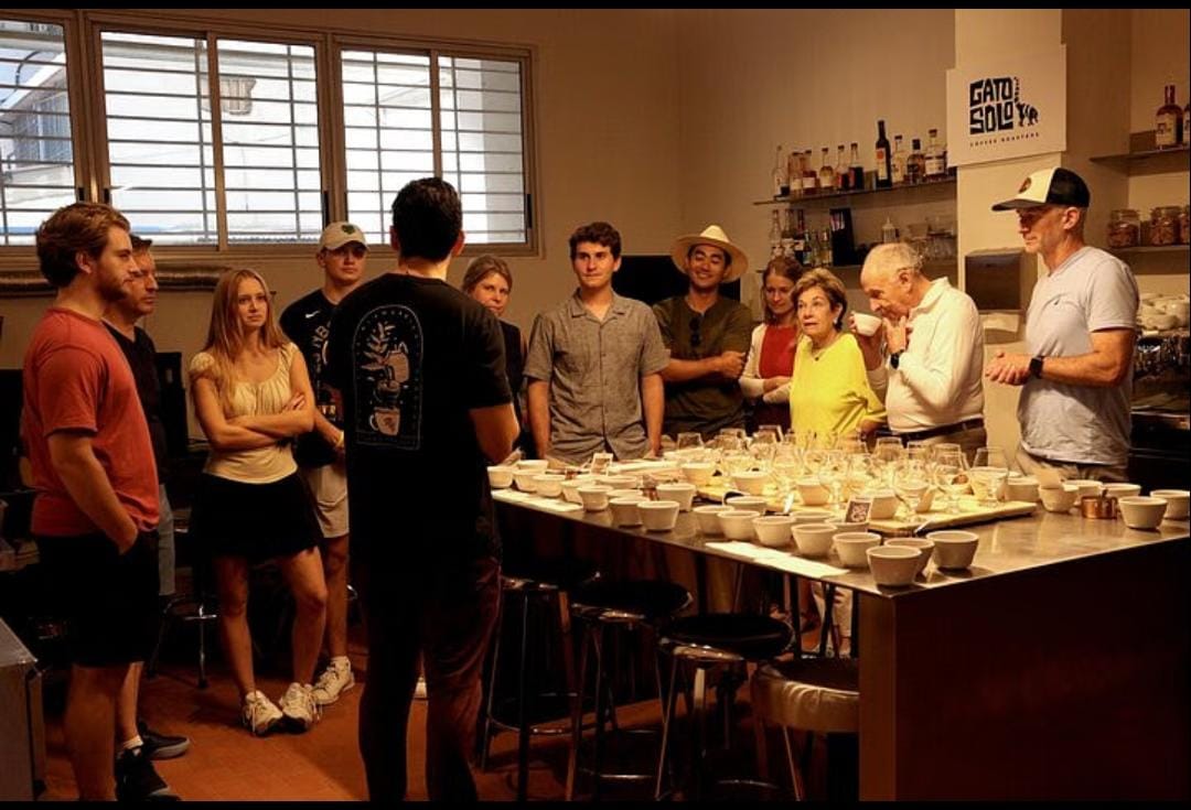 Personalized coffee coaching barista express