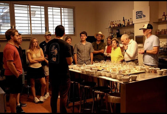 Coffee Tasting Experience