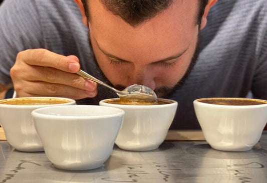 Coffee Tasting Experience
